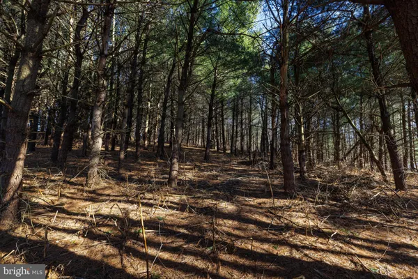 $181,000 | 0 Fairview Road, Mount Crawford, VA 22841