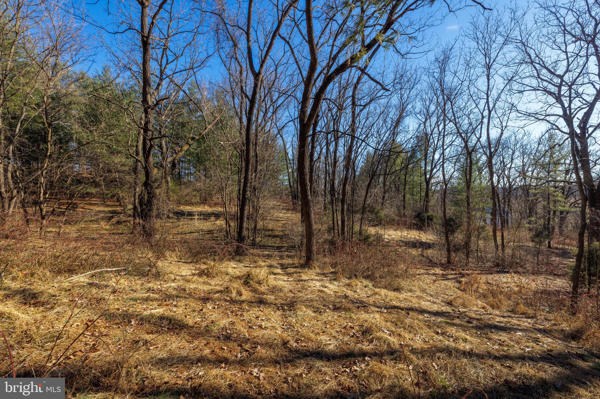 0 Fairview Road Mount Crawford, VA 22841 - Photo 4 of 16
