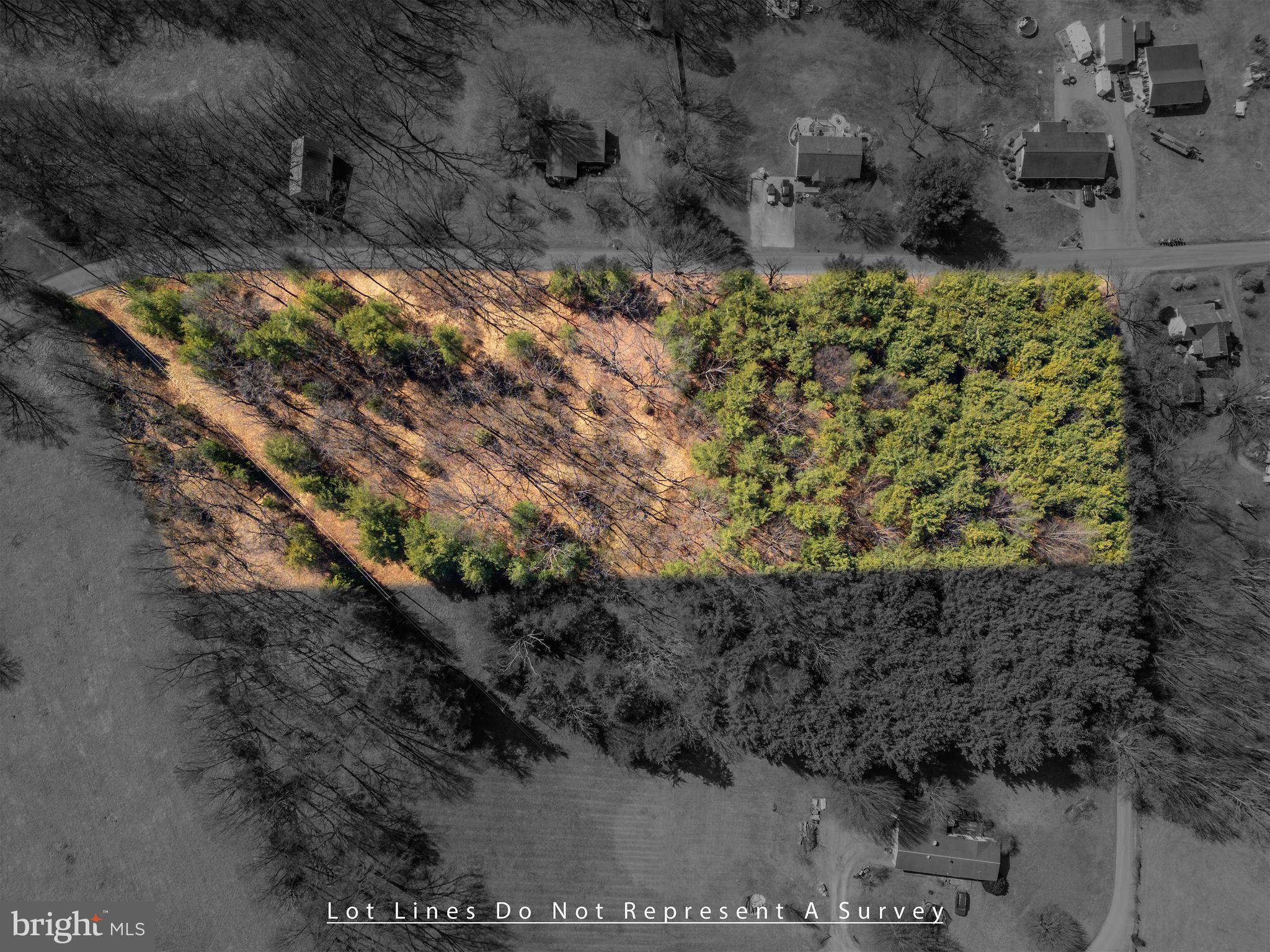 0 Fairview Road Mount Crawford, VA 22841 - Photo 6 of 16