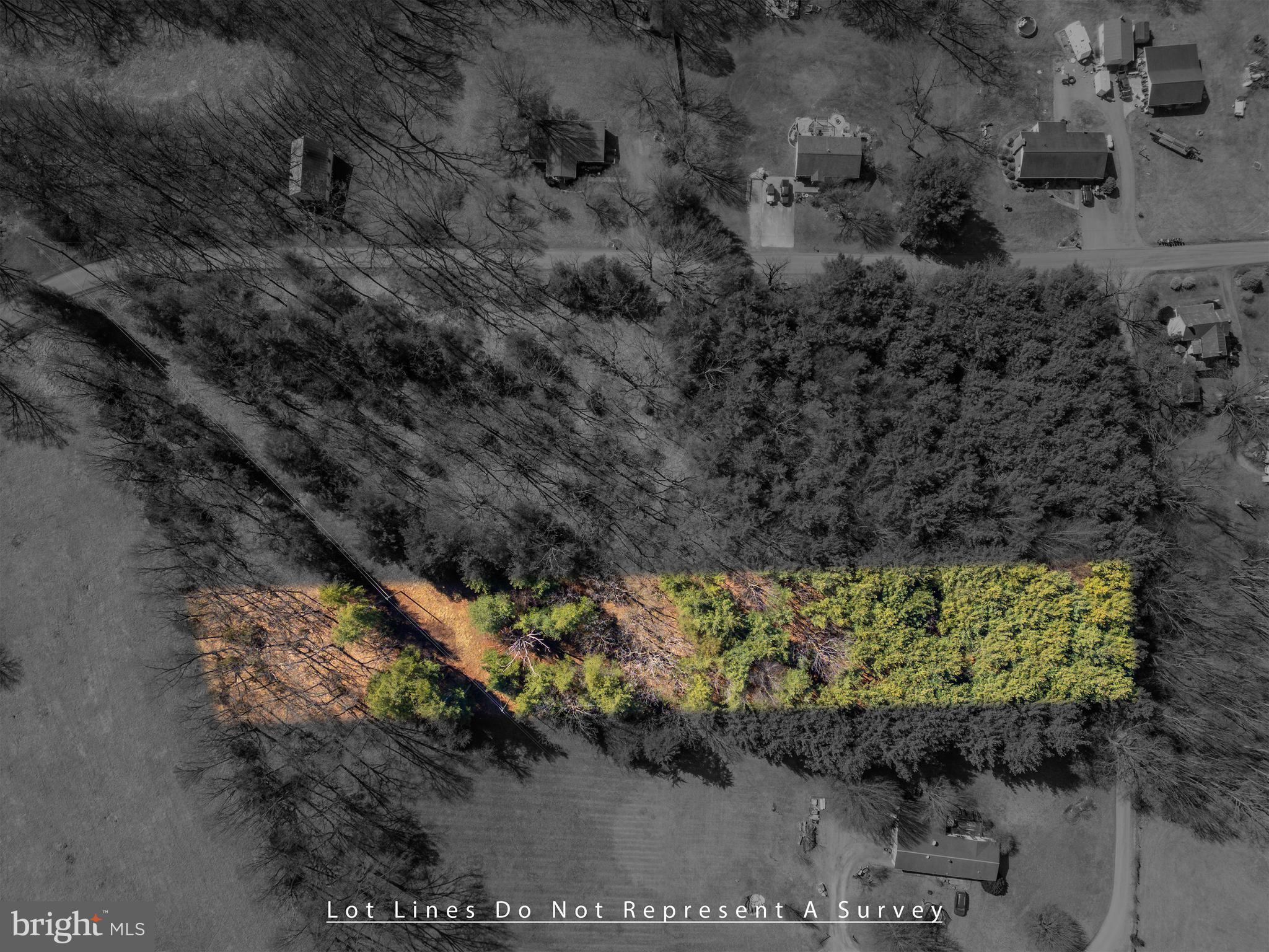 0 Fairview Road Mount Crawford, VA 22841 - Photo 7 of 16