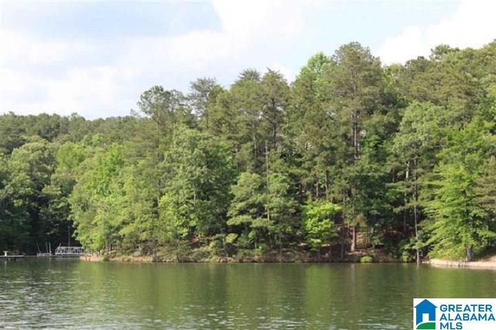 Red Eye Lane, Unit 24 Wedowee, AL 36278 - Photo 1 of 5