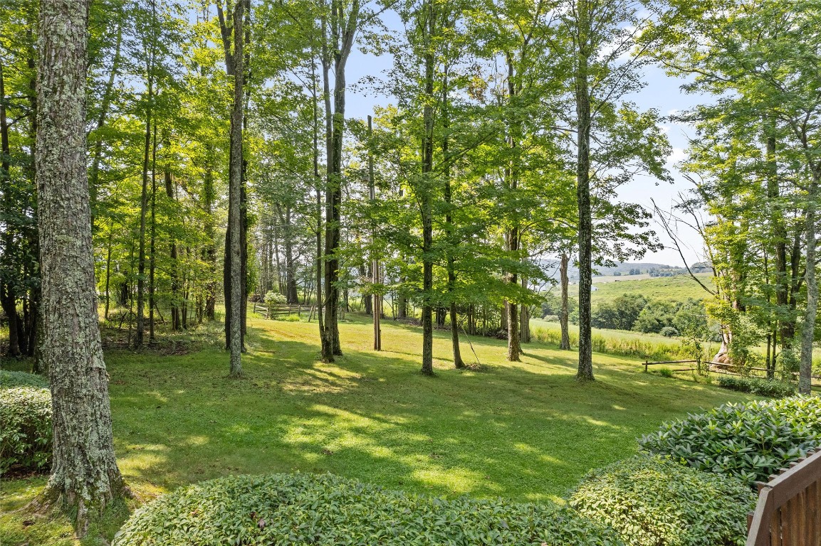 181 Gower Road Little Meadows, PA 18830 - Photo 6 of 23