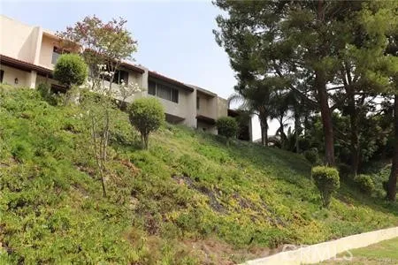 a picture of flowers