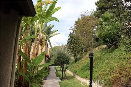 a view of a street with flower plants