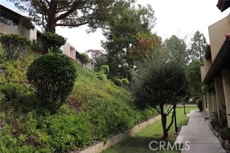 a view of a bench in the garden