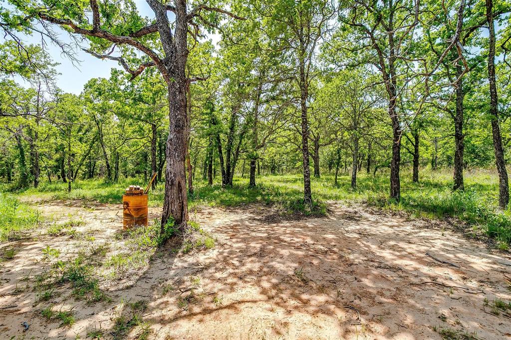 313 Broken Road Perrin, TX 76486 - Photo 29 of 38