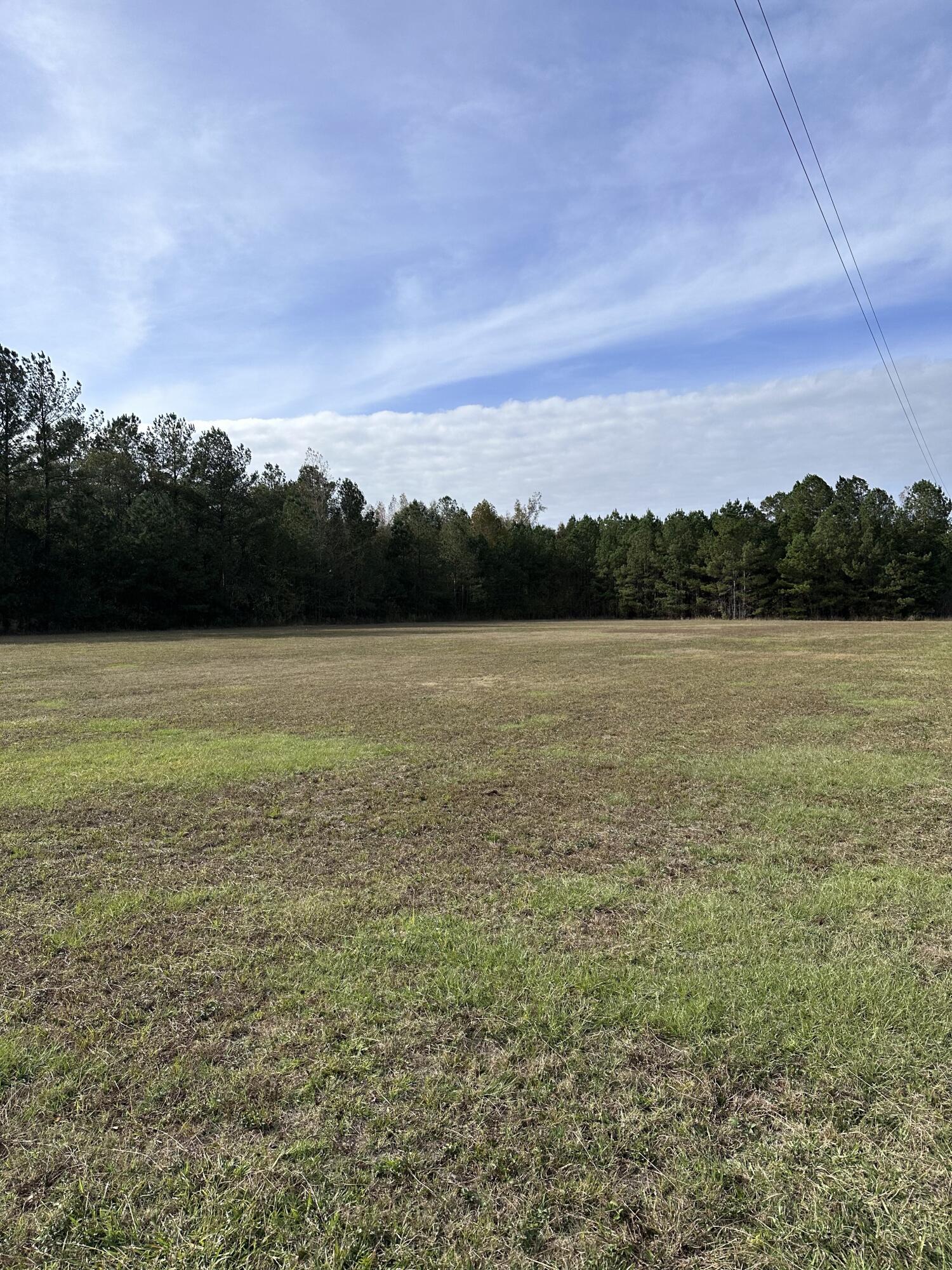 0 Breaker Pine Road Bowman, SC 29018 - Photo 12 of 23 IMG_6199