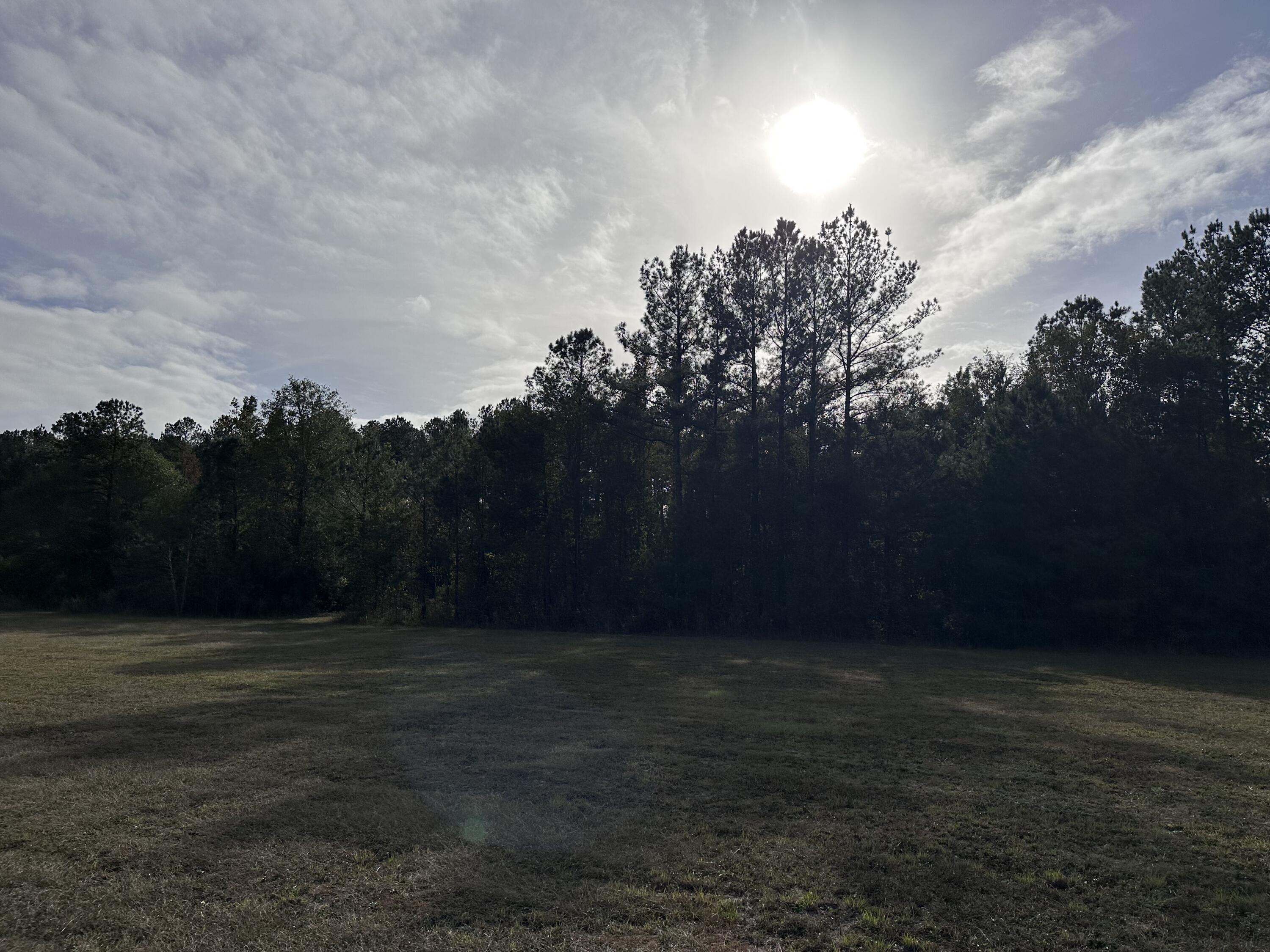 0 Breaker Pine Road Bowman, SC 29018 - Photo 18 of 23 IMG_6211
