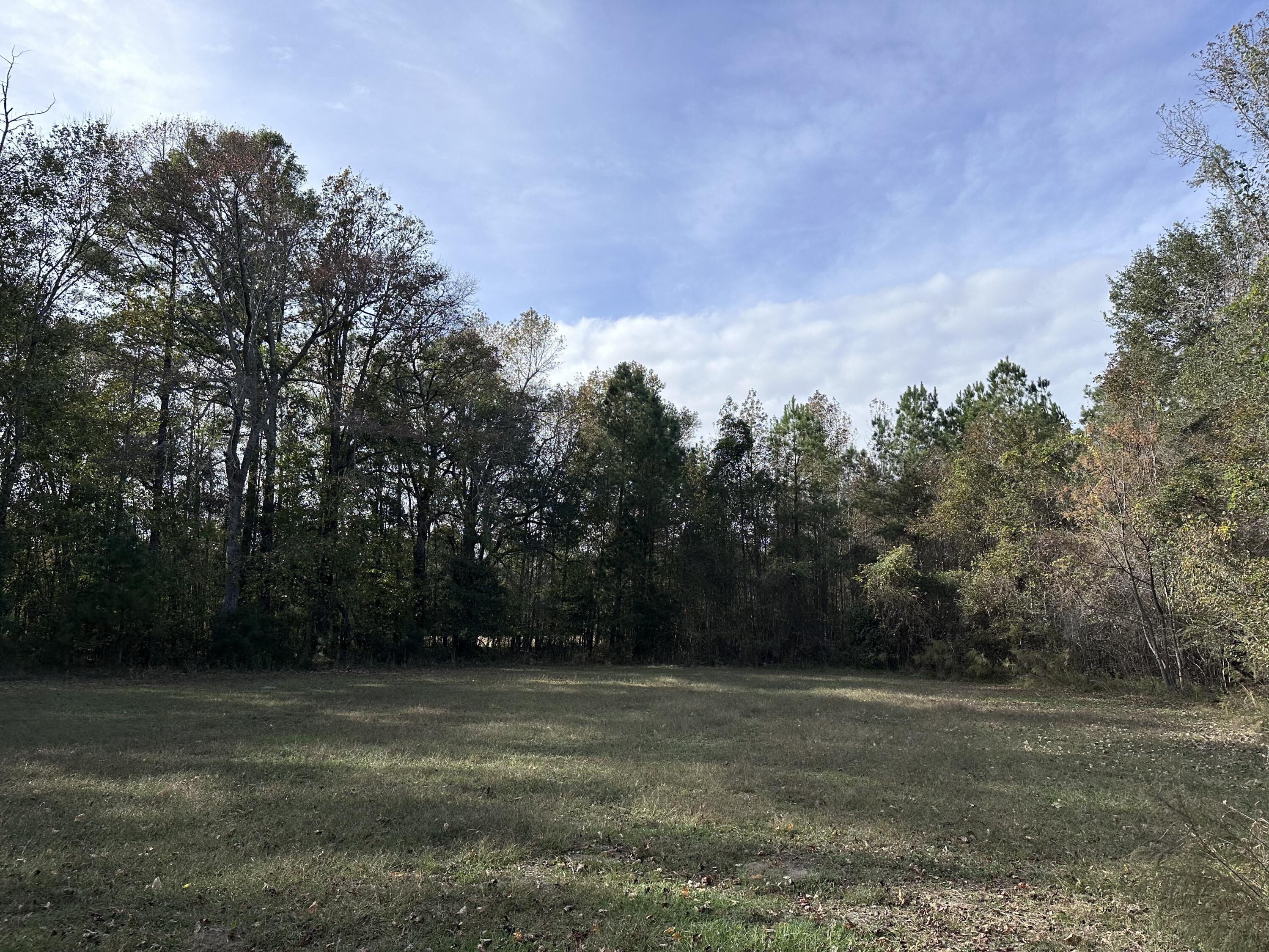 0 Breaker Pine Road Bowman, SC 29018 - Photo 2 of 23 IMG_6171