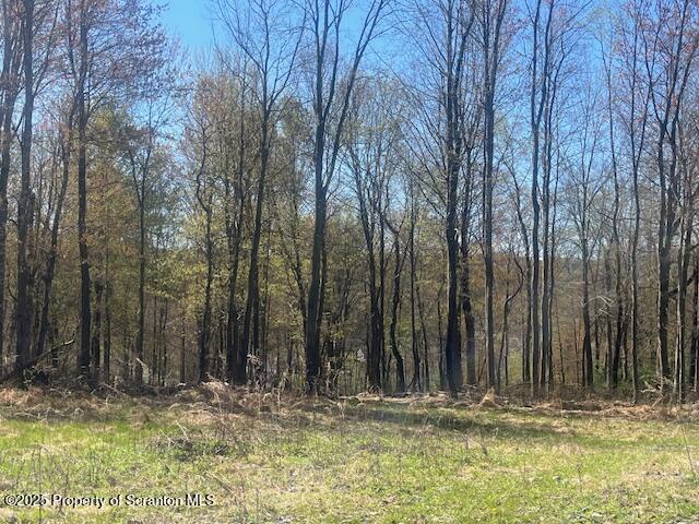 a view of small yard