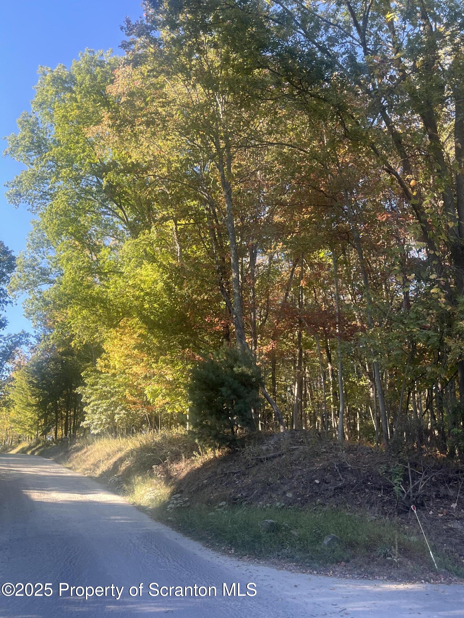 Waterford Road Dalton, PA 18414 - Photo 2 of 8 a view of outdoor space and yard