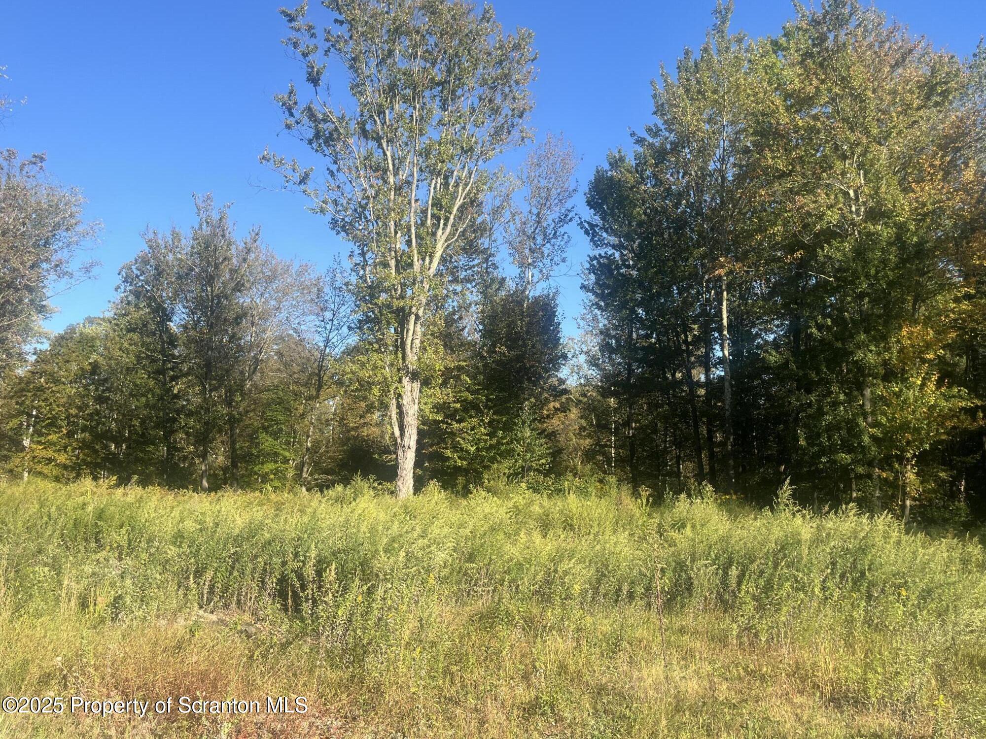 Waterford Road Dalton, PA 18414 - Photo 5 of 8 a view of lake view