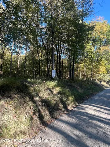 a view of backyard with green space