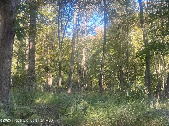 $199,000 | Waterford Road, Dalton, PA 18414