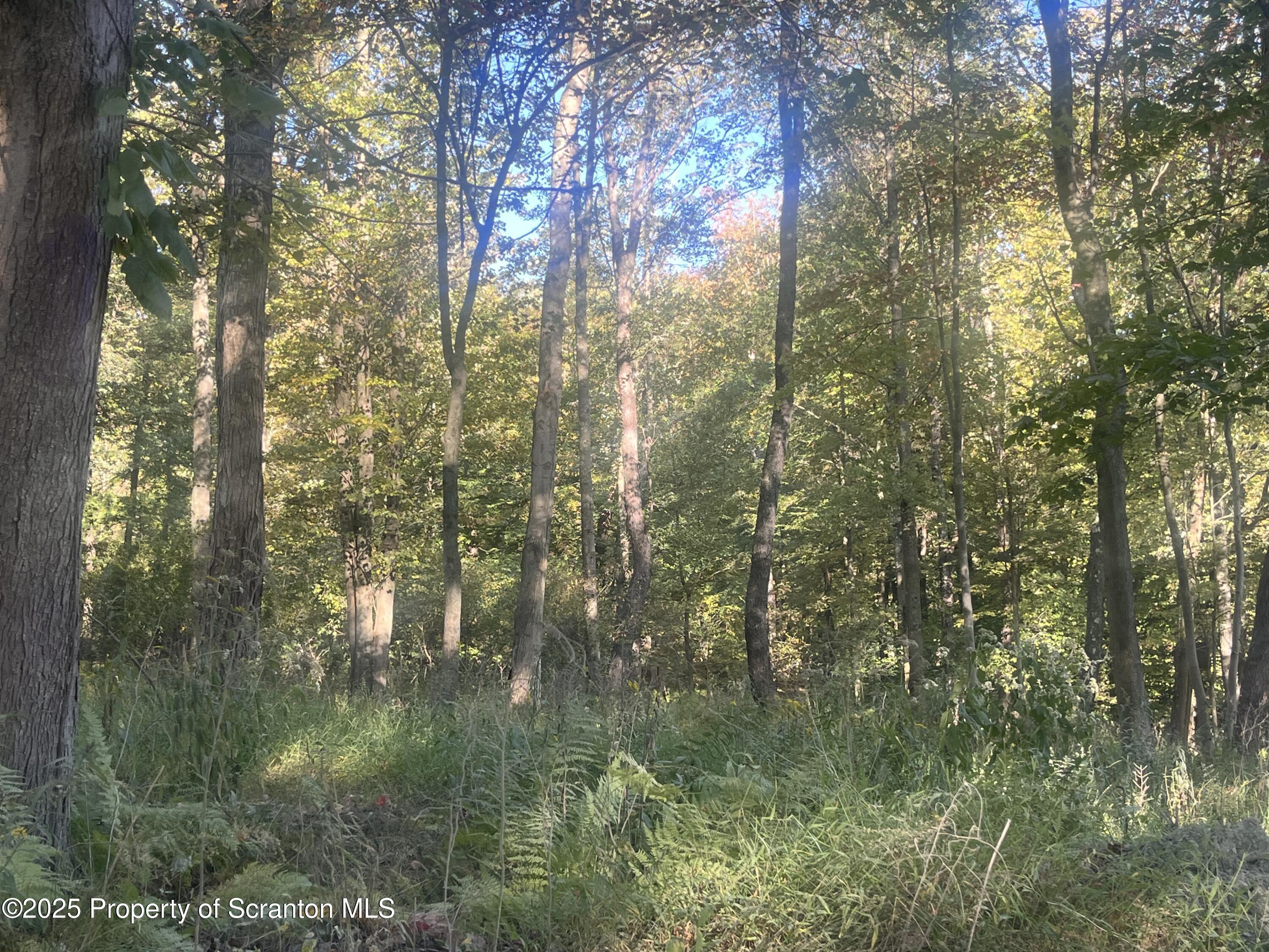 Waterford Road Dalton, PA 18414 - Photo 8 of 8