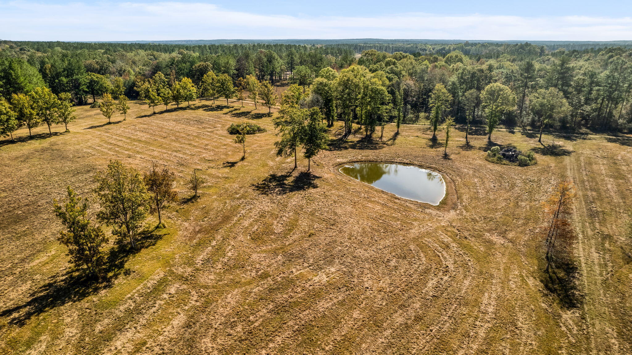 363 Rockhill To Lumberton Road Purvis, MS 39475 - Photo 22 of 71 Gallery Image 22