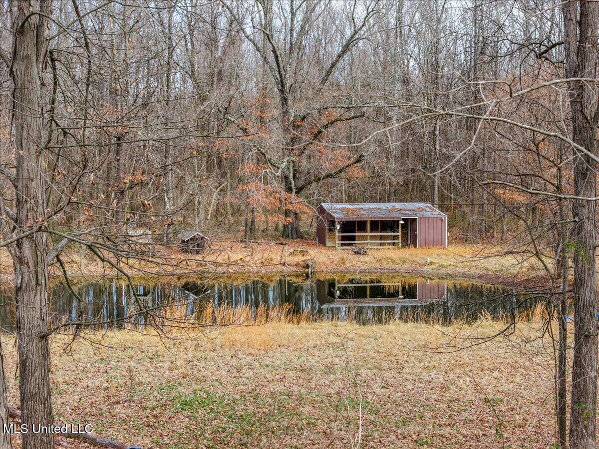 4784 Austin Road Nesbit, MS 38651 - Photo 45 of 48 45-Barn