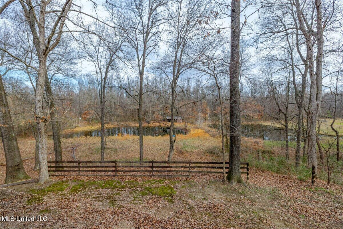 4784 Austin Road Nesbit, MS 38651 - Photo 48 of 48 48-Balcony View