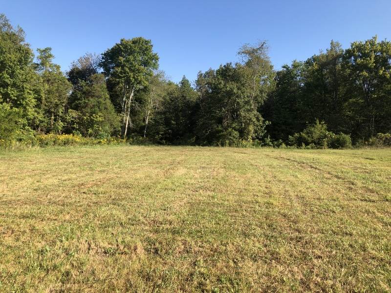 2998 North Toohey Ridge Road Cave City, KY 42127 - Photo 1 of 10 Gallery Image 1