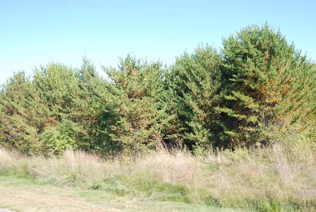 $19,500 | L6-b1 Meadow Court, Baxter, MN 56425