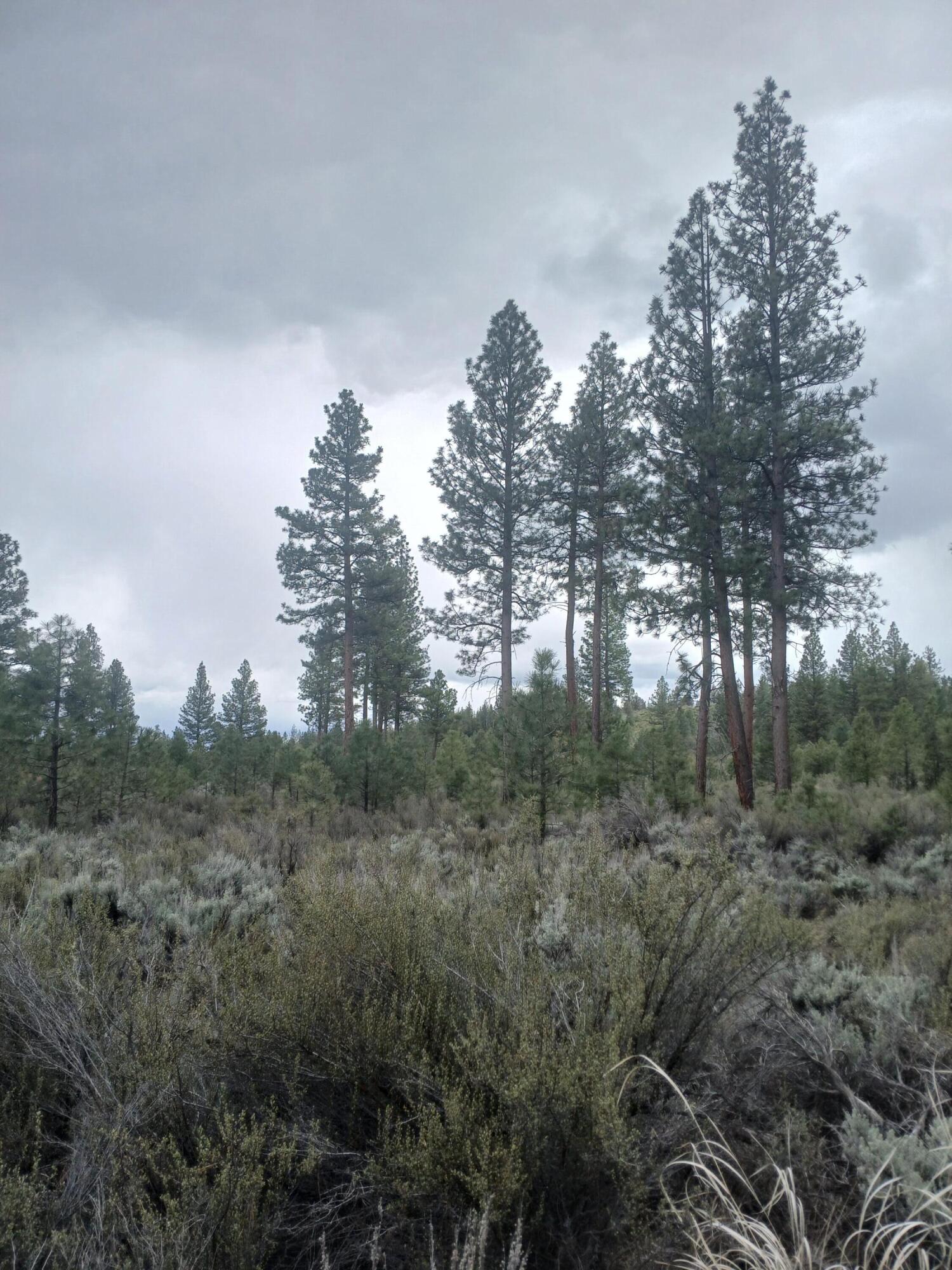 0 Tableland Road Chiloquin, OR 97624 - Photo 13 of 18 20260427_143125