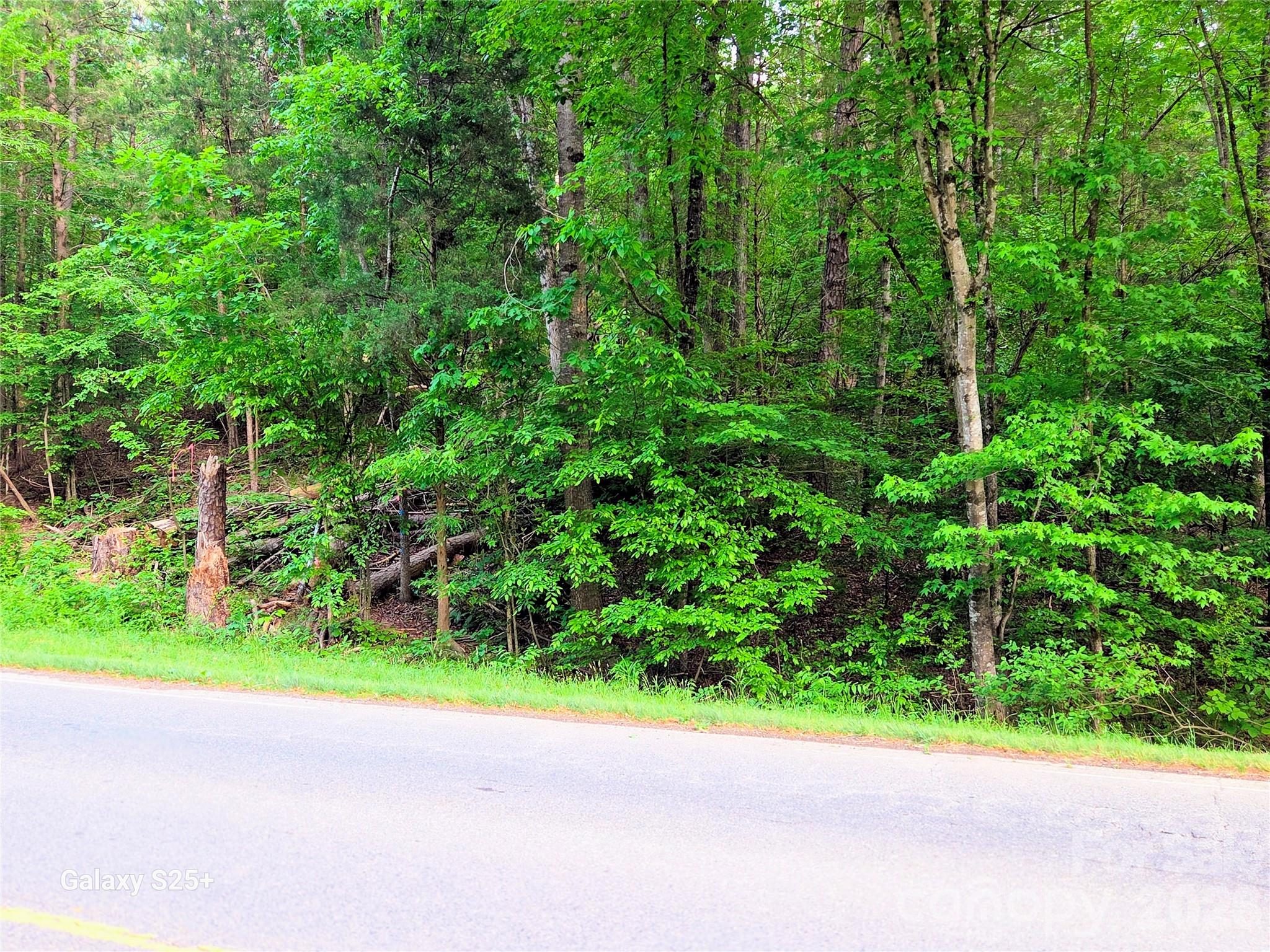 Vac Stony Gap Road Albemarle, NC 28001 - Photo 3 of 9