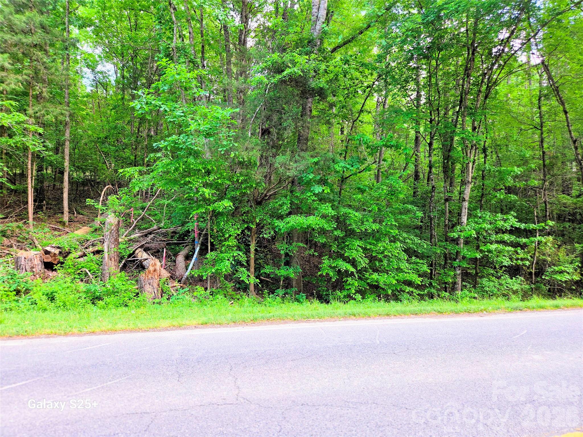Vac Stony Gap Road Albemarle, NC 28001 - Photo 6 of 9
