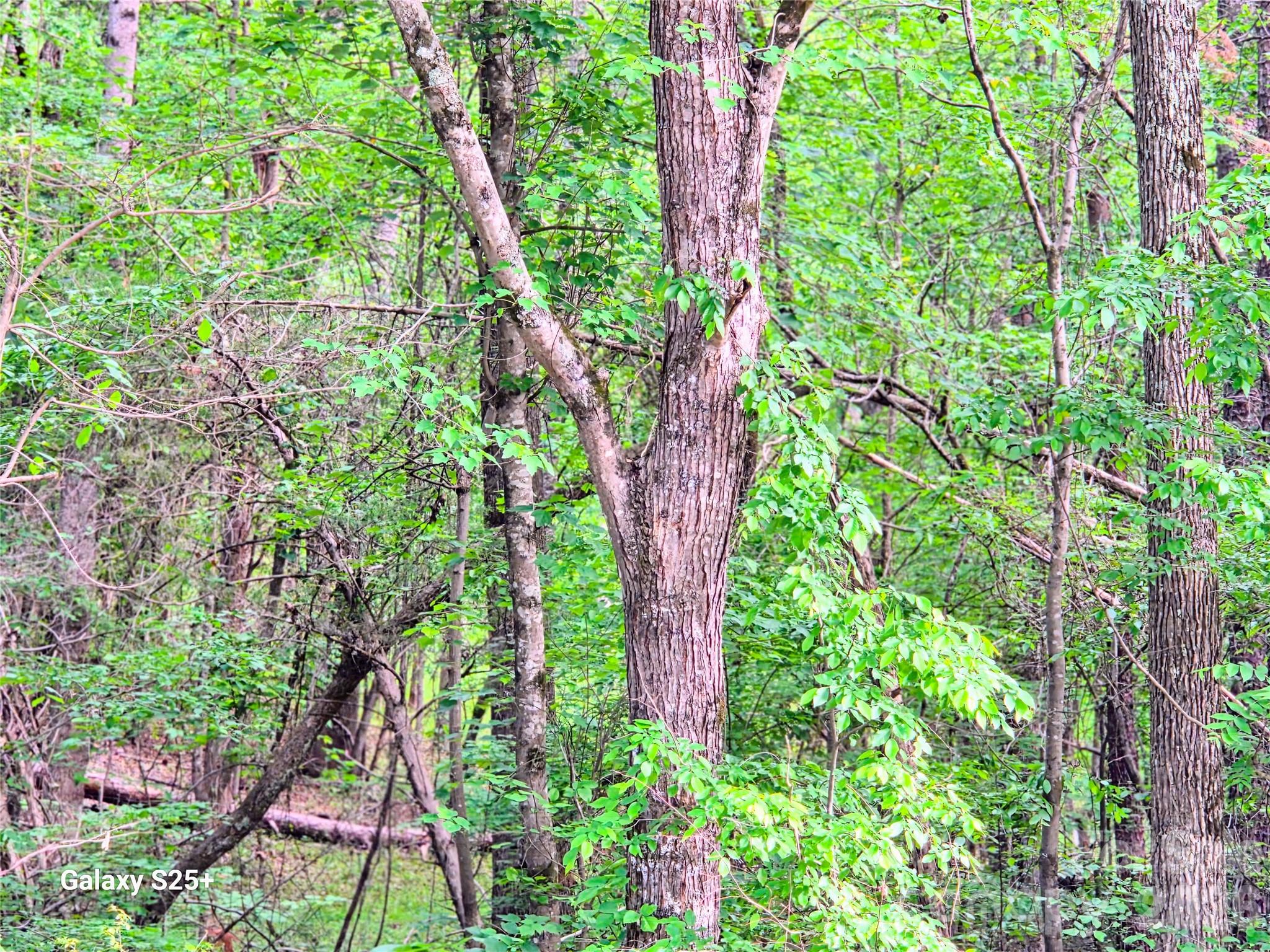 Vac Stony Gap Road Albemarle, NC 28001 - Photo 7 of 9