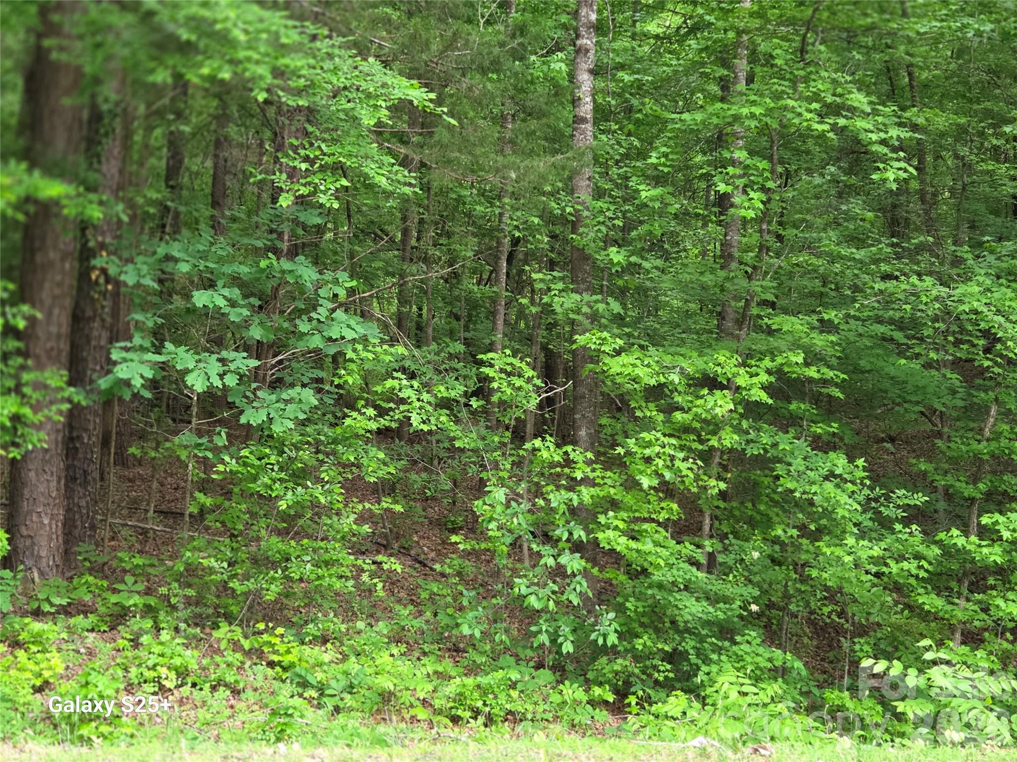 Vac Stony Gap Road Albemarle, NC 28001 - Photo 8 of 9