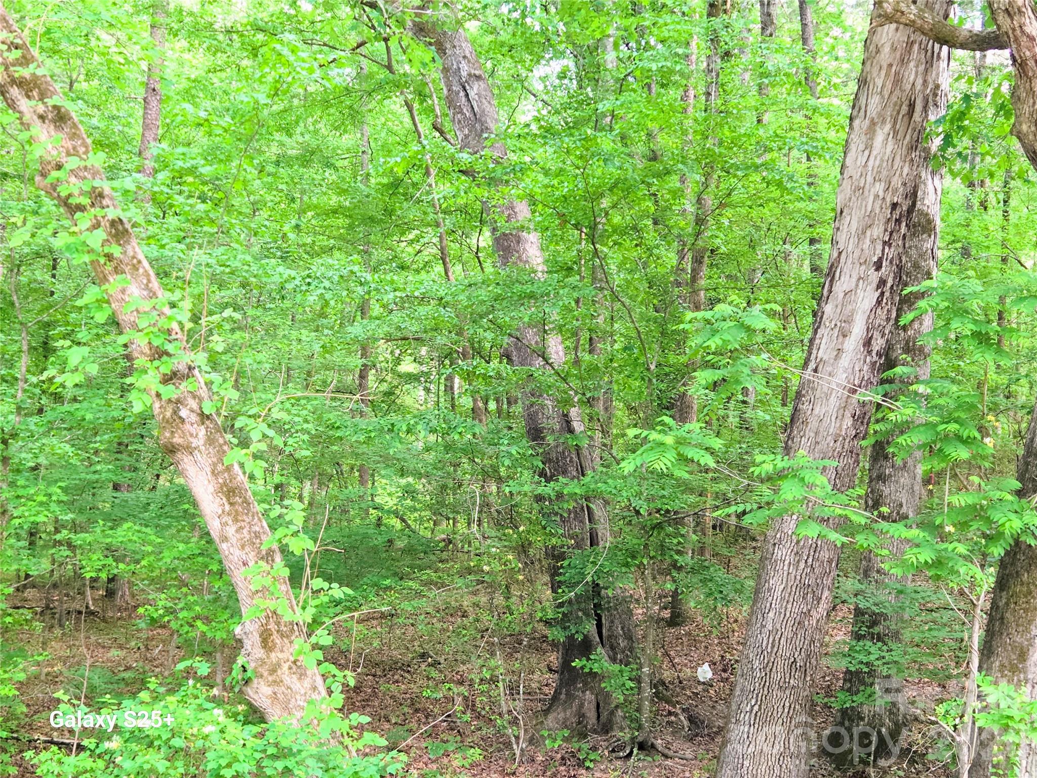 Vac Stony Gap Road Albemarle, NC 28001 - Photo 9 of 9