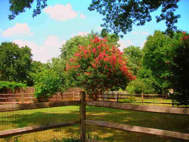 407 Devenger Road Greer, SC 29650 - Photo 11 of 12 Gallery Image 11