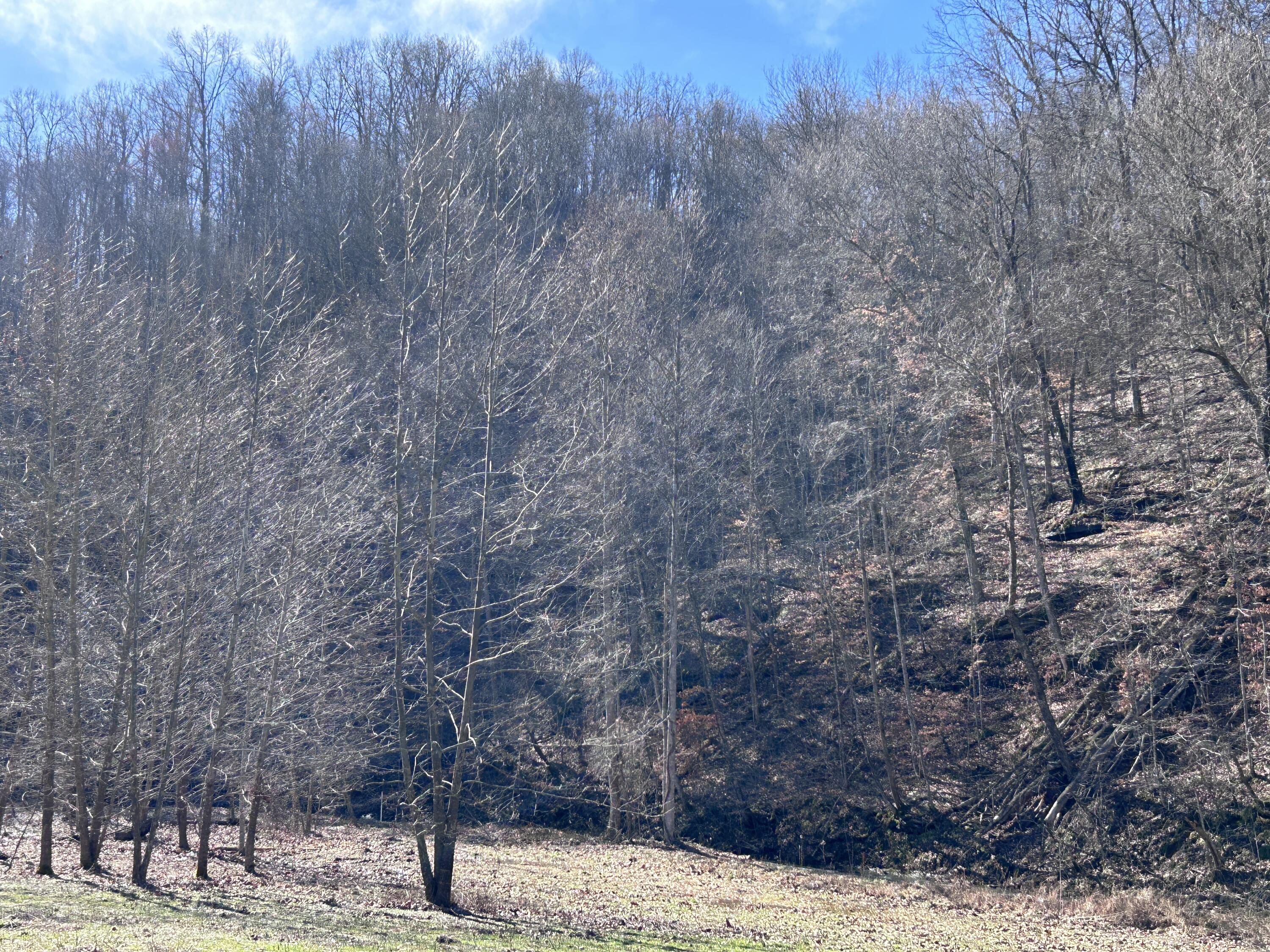 3831 Crane Creek Road Manchester, KY 40962 - Photo 2 of 5 3b