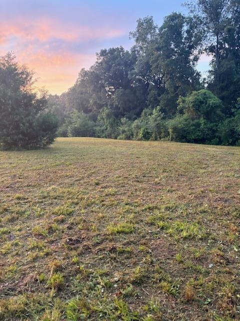 0 Approx4acres Bruner Pond Road Ashford, AL 36312 - Photo 2 of 16