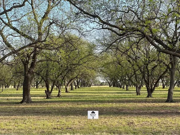 $150,000 | 461 De Leon Tx 76444, Gorman, TX 76454