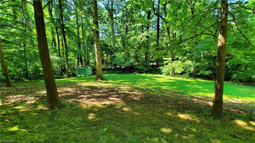 3358 Nottingham Road Winston-Salem, NC 27104 - Photo 27 of 29 Spacious, Picturesque Back Yard