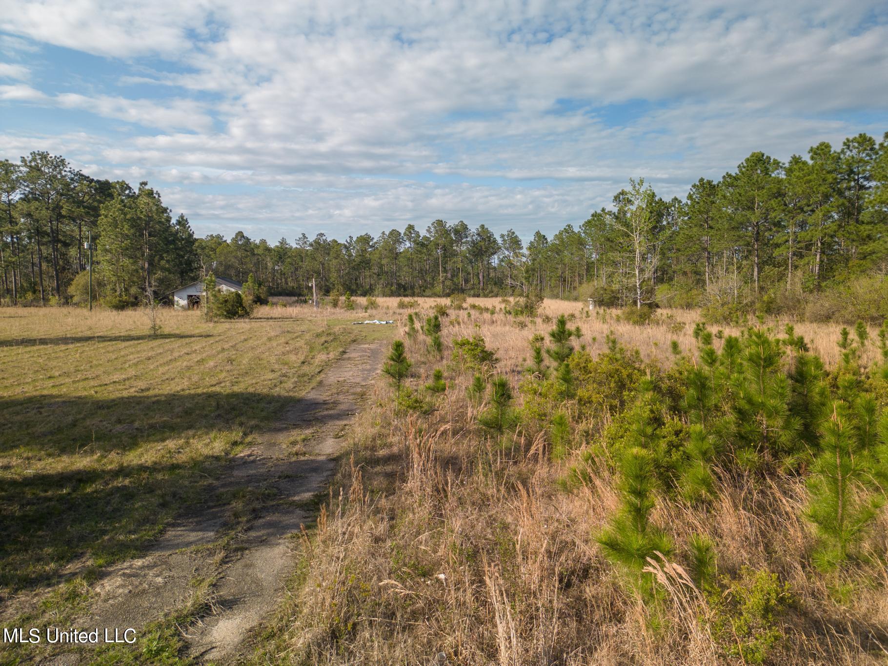 10620 Jim Ramsay Road Vancleave, MS 39565 - Photo 1 of 10 Jim Ramsey-92008