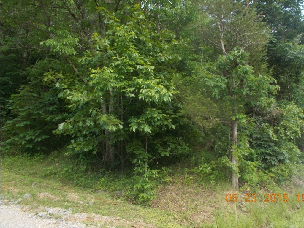0 Bowen Road Rutledge, TN 37861 - Photo 1 of 7 Photo 1