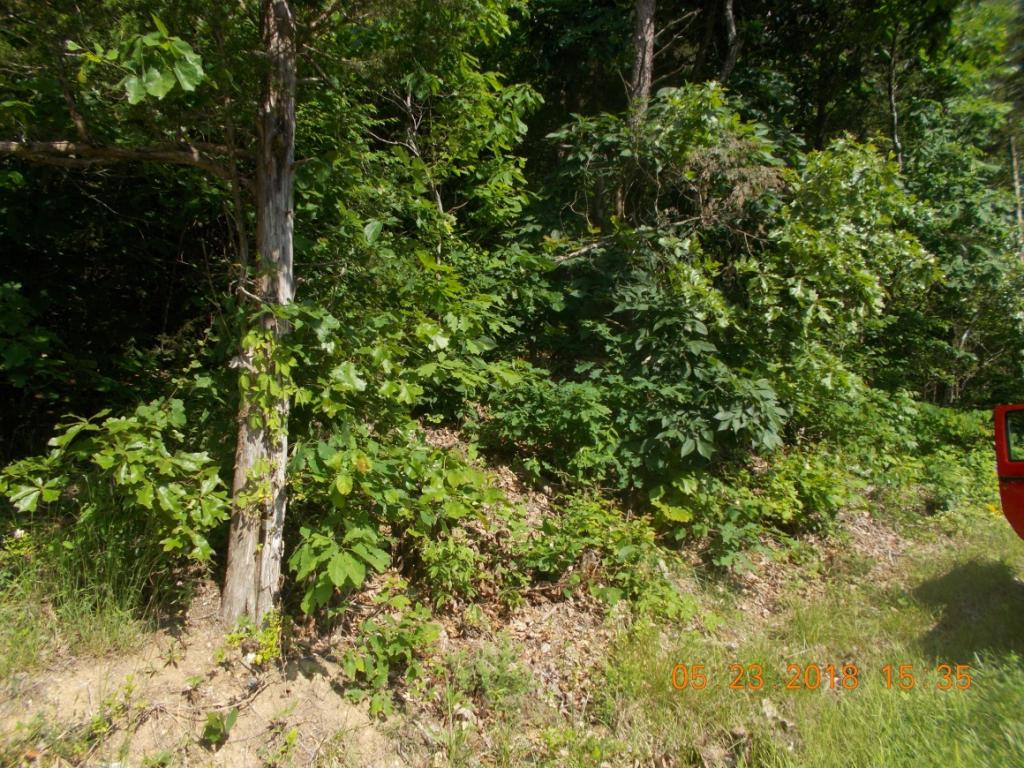 0 Bowen Road Rutledge, TN 37861 - Photo 2 of 7 Photo 2