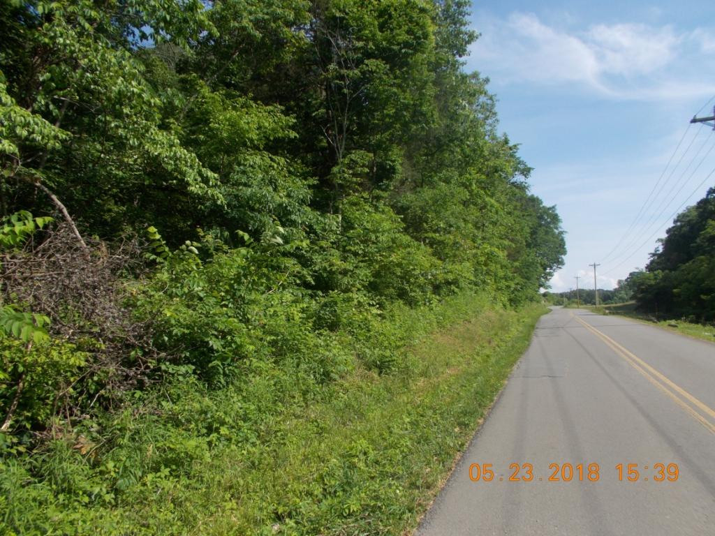 0 Bowen Road Rutledge, TN 37861 - Photo 3 of 7 Photo 3