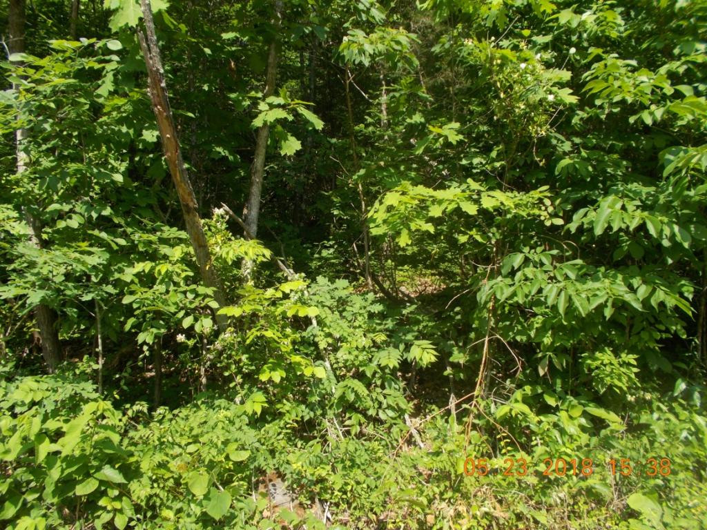 0 Bowen Road Rutledge, TN 37861 - Photo 5 of 7 Photo 5