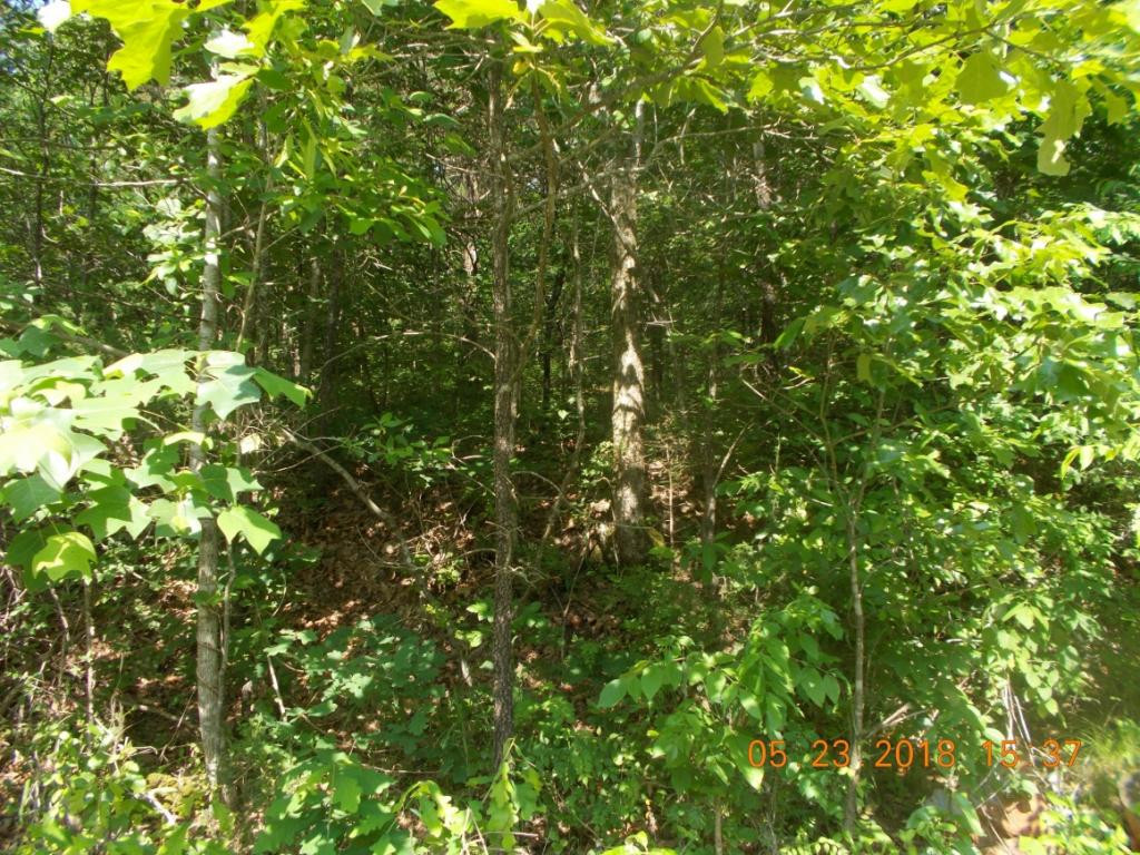 0 Bowen Road Rutledge, TN 37861 - Photo 7 of 7 Photo 7