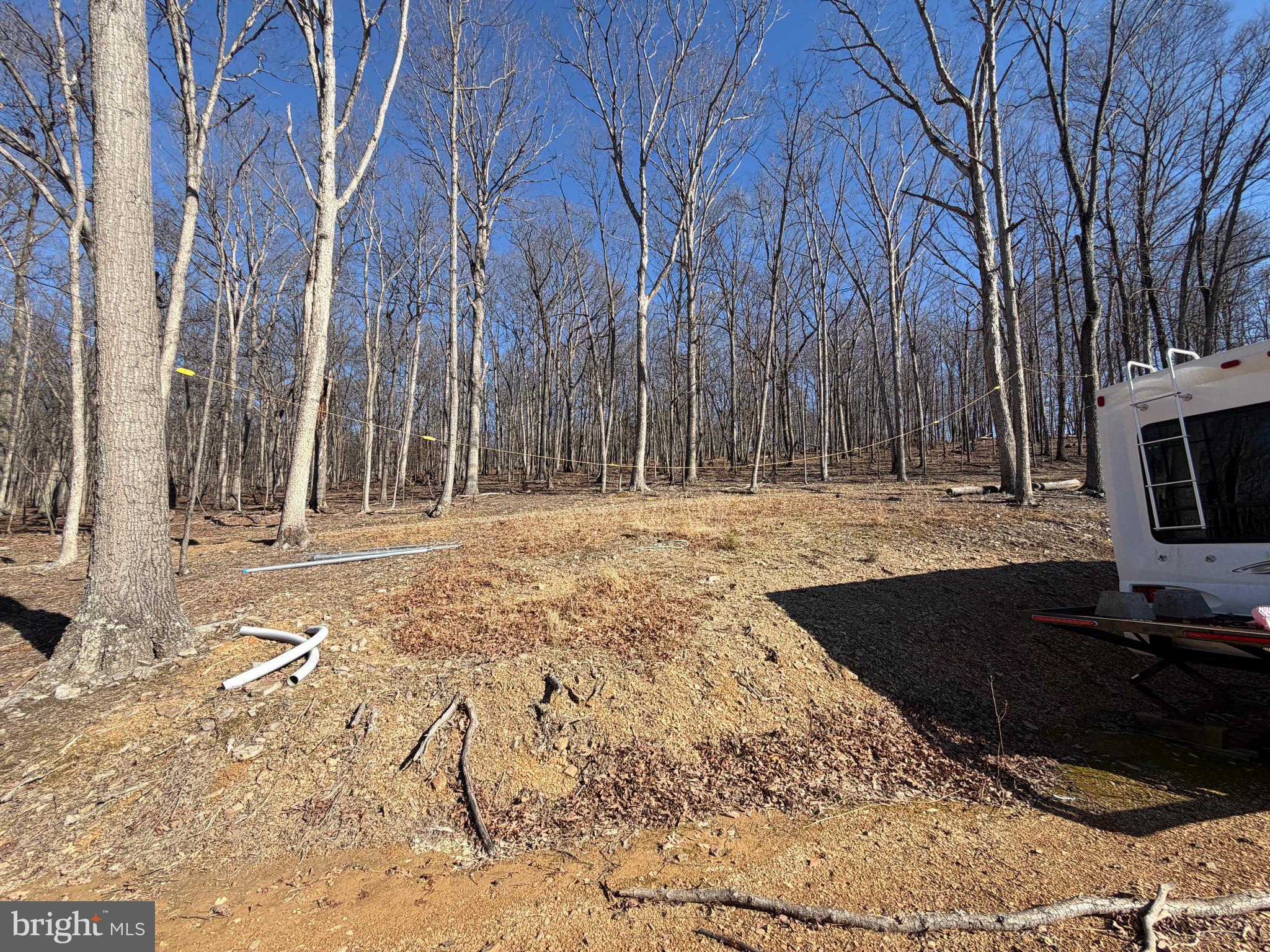 Goldsborough Road Springfield, WV 26763 - Photo 7 of 18