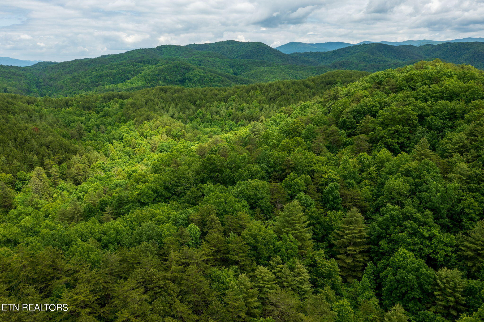 Chestnut Valley Road Vonore, TN 37885 - Photo 17 of 26 Mtns