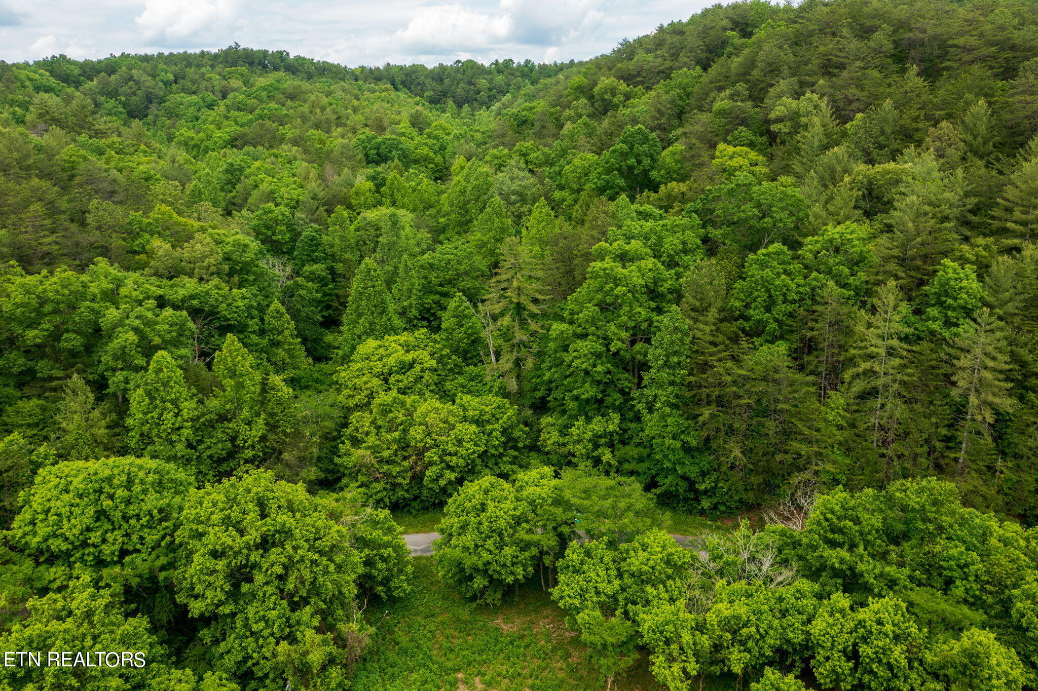 Chestnut Valley Road Vonore, TN 37885 - Photo 19 of 26 Mtns