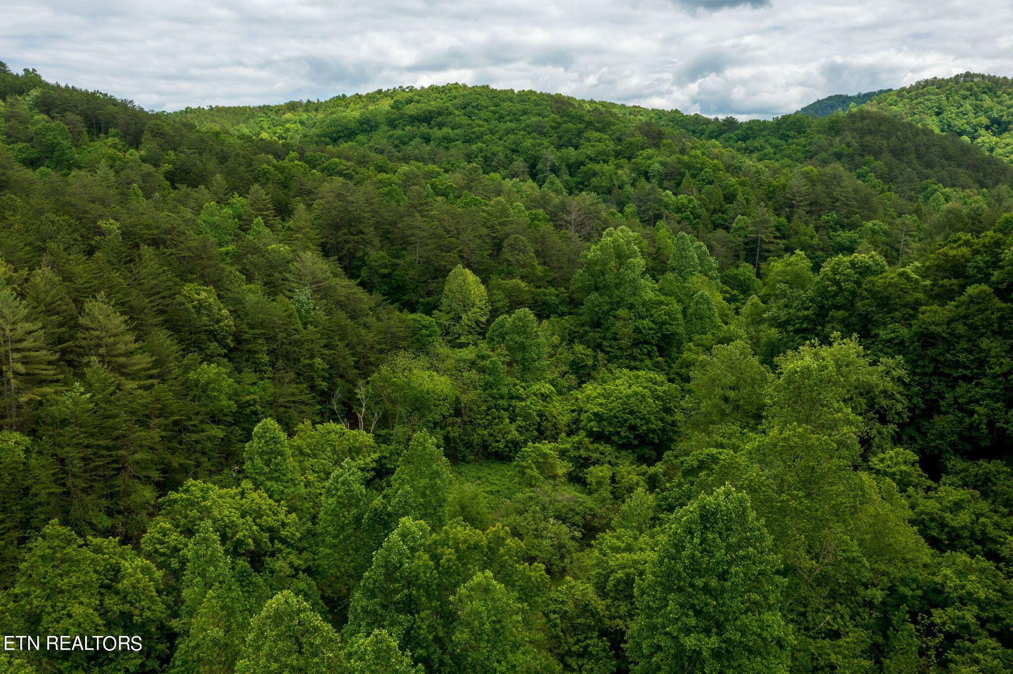 Chestnut Valley Road Vonore, TN 37885 - Photo 20 of 26 Mtns