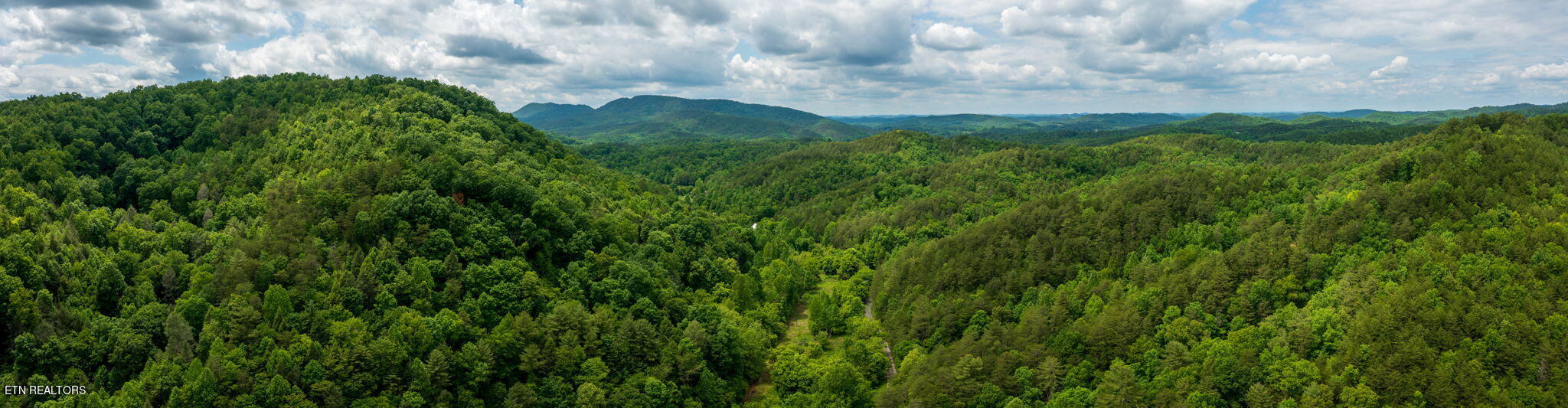 Chestnut Valley Road Vonore, TN 37885 - Photo 2 of 26 Mtns