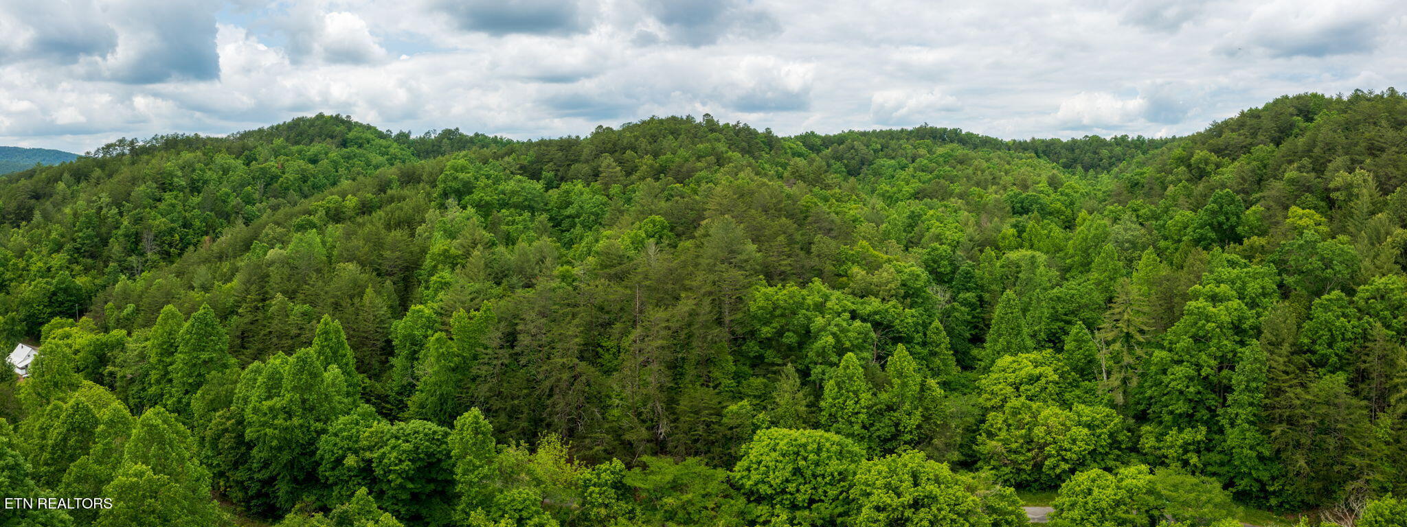 Chestnut Valley Road Vonore, TN 37885 - Photo 21 of 26 Mtns