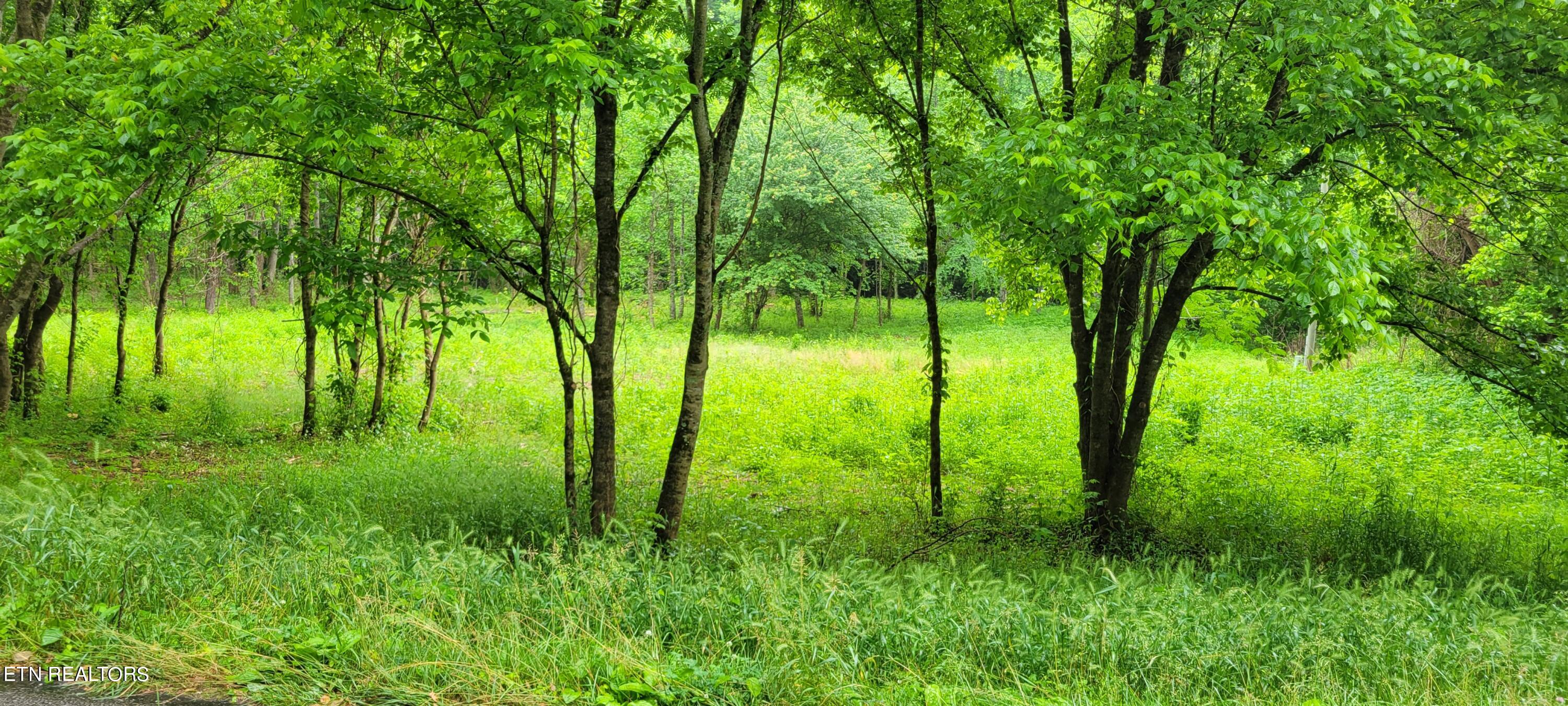 Chestnut Valley Road Vonore, TN 37885 - Photo 4 of 26 Mtns