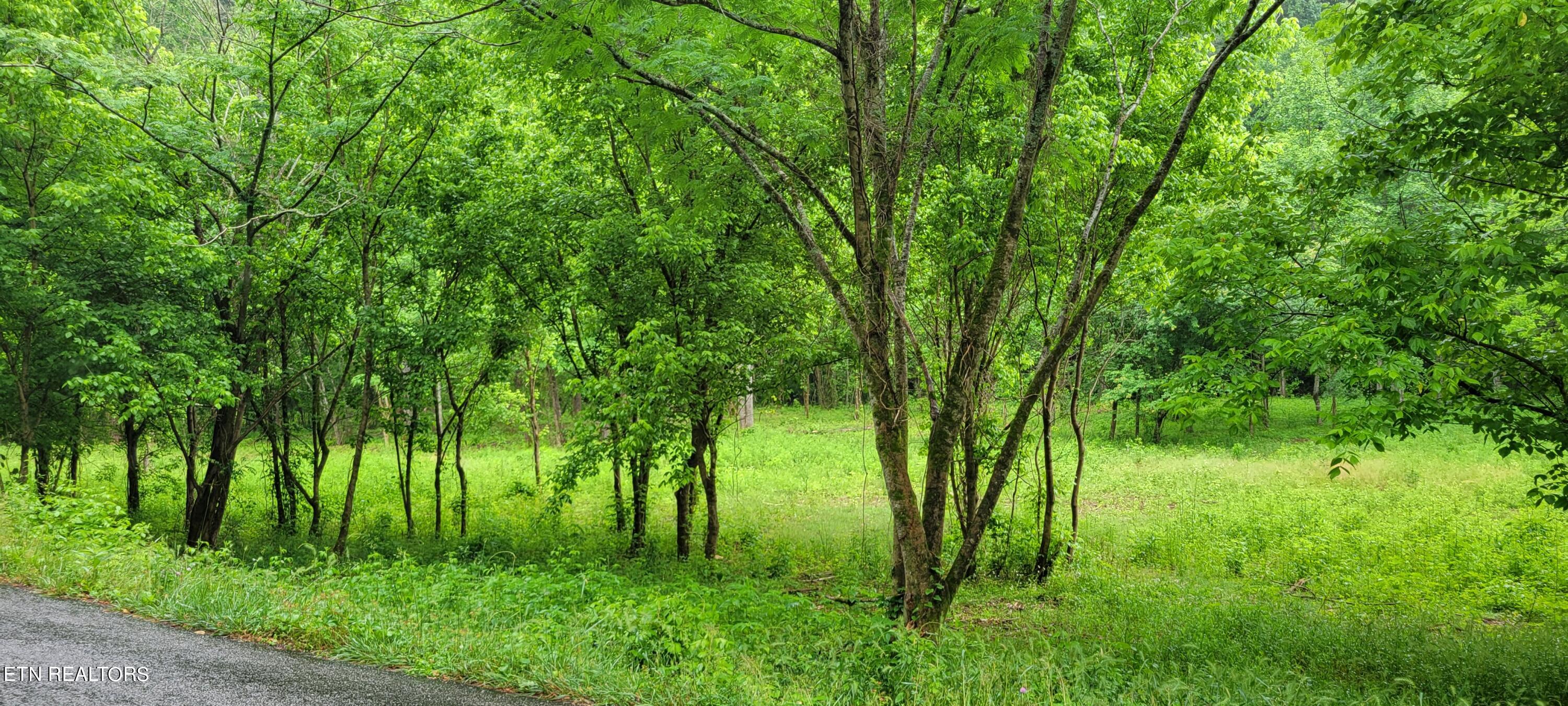 Chestnut Valley Road Vonore, TN 37885 - Photo 8 of 26 mtns