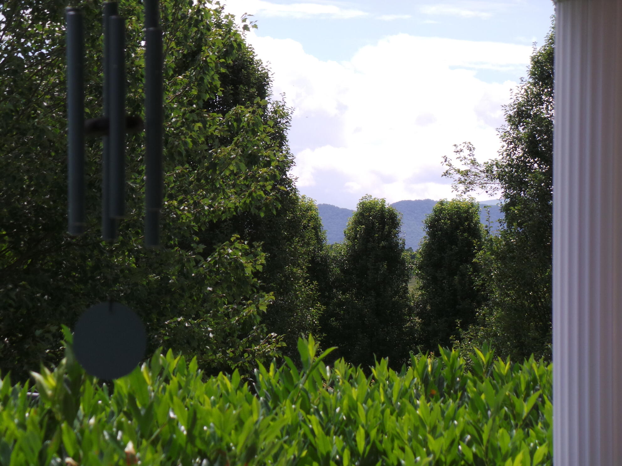 169 Laurel View Road Jonesborough, TN 37659 - Photo 54 of 159 MOUNTAINS ALL AROUND
